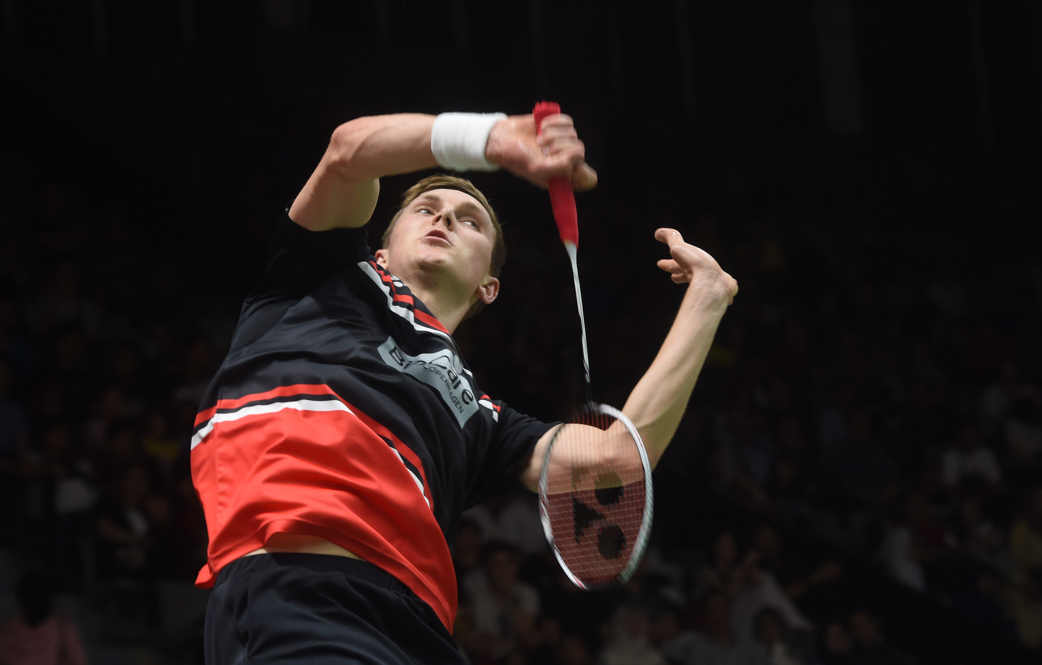 产业生态 产业生态